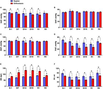 Phase Coupling Between Baroreflex Oscillations of Blood Pressure and Heart Rate Changes in 21-Day Dry Immersion